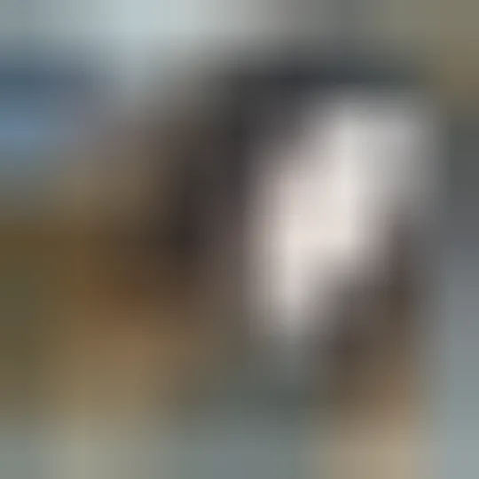 Milena, 21 años — follamigas en Horta-Guinardó