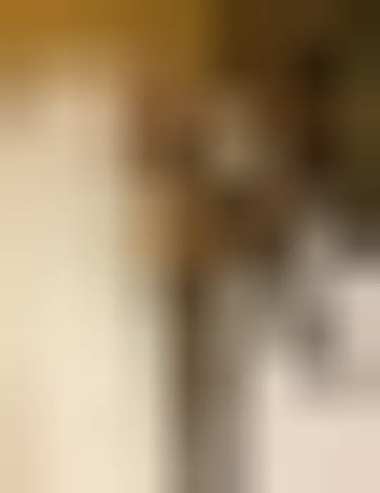 Renata, 22 años — follamigas en Alicante