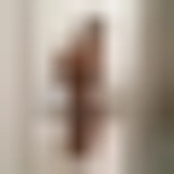 Aneesa, 31 años — follamigas en Vilanova i la Geltrú