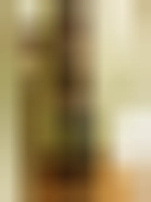 Lina, 19 años — follamigas en Madrid