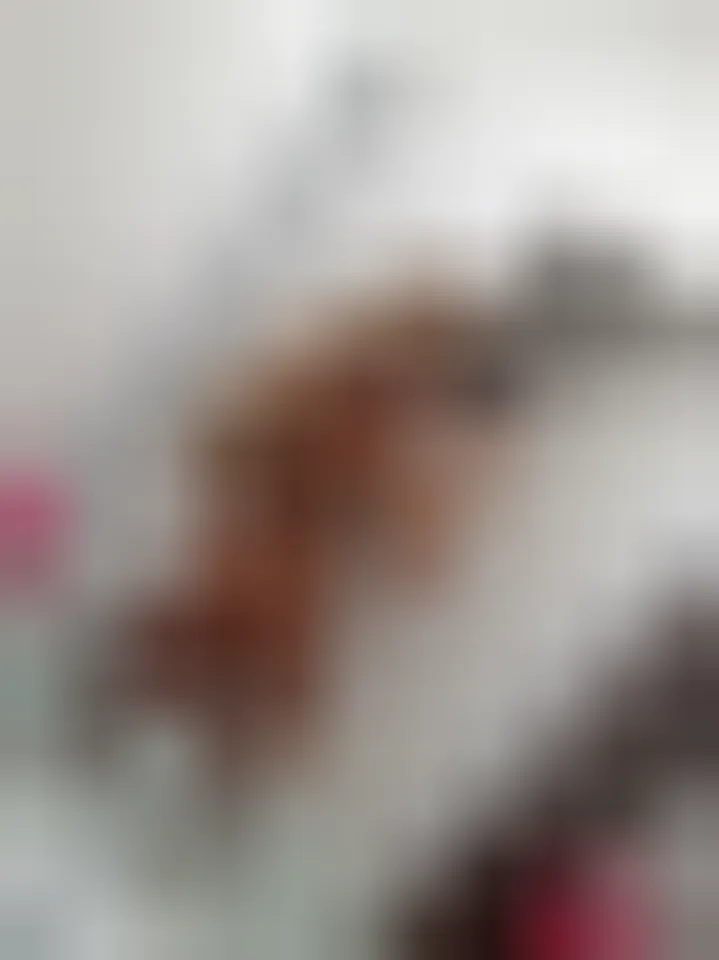 Yasmina, 38 años — follamigas en Benicarló