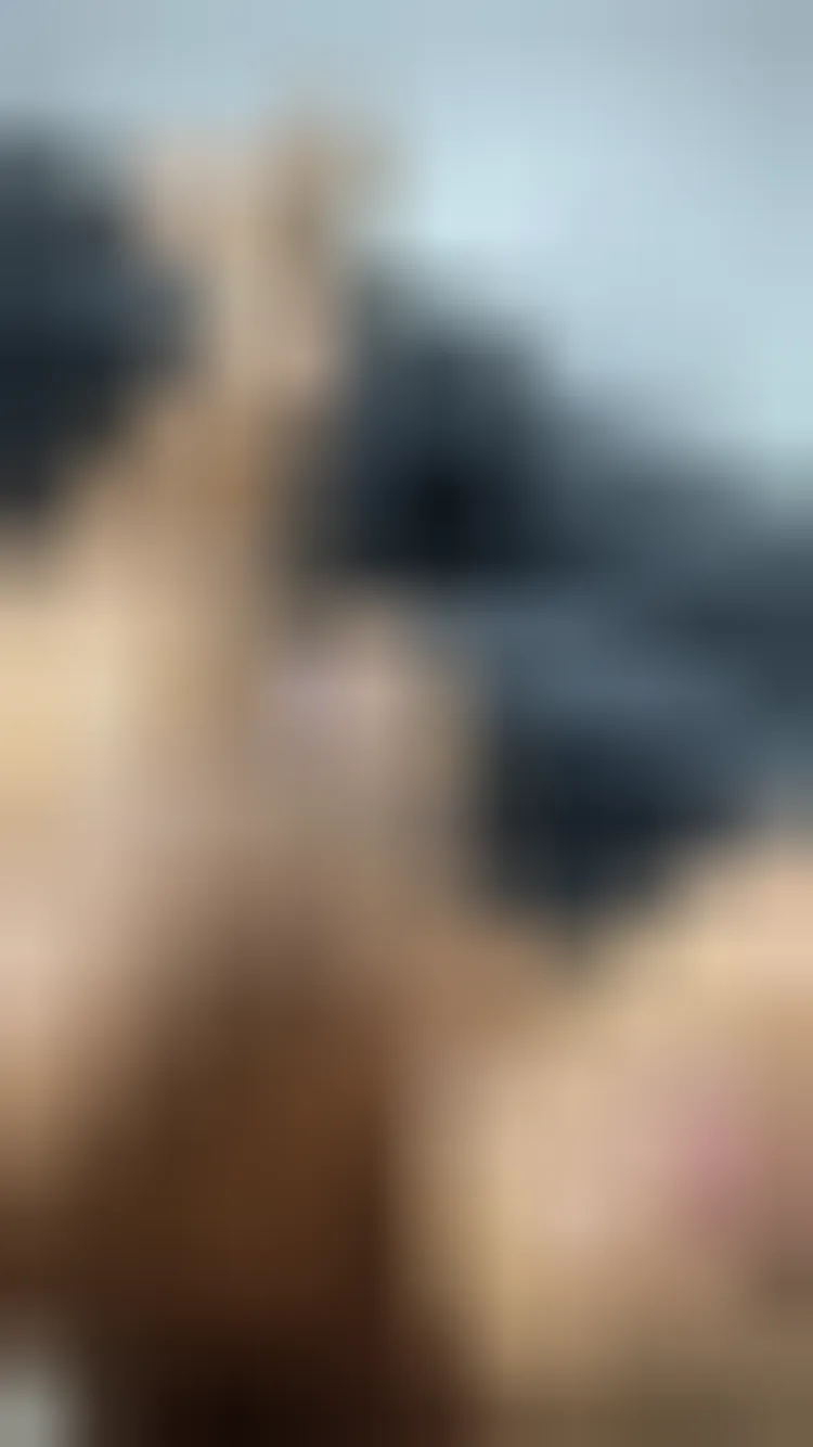 Rosana, 30 años — follamigas en San Bartolomé de Tirajana